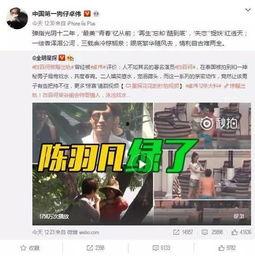 章叔爆料视频大全,揭秘娱乐圈幕后真相  第3张